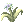 Flower Of Alfheim