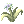 Blue Vital Flower