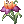 Valhala’s Flower