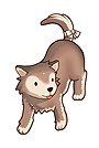 Baby Desert Wolf