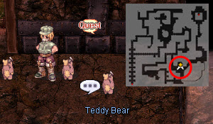 meet-teddy-bear-1