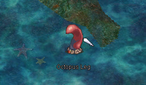kill-octopus-legs
